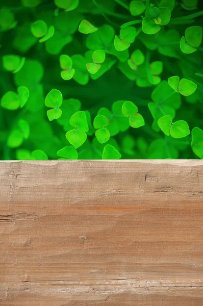 Empty rustic wooden table with grass background — Stock Photo, Image