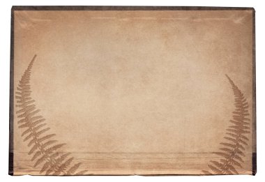 Bitki dokusunun beyaza izole edildiği eski, eski, kaba kağıt.