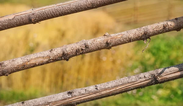 Clôture de poteaux en bois — Photo