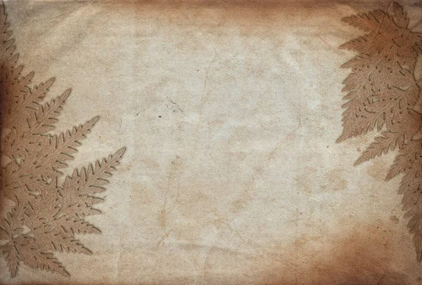 Old vintage rough paper background with plant relief texture