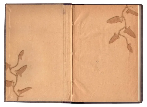 Bitki Dokusunun Beyaza Izole Edildiği Eski Eski Kaba Kağıt — Stok fotoğraf