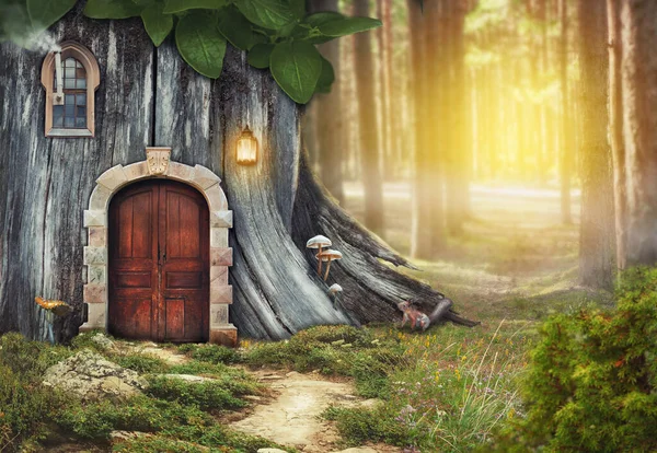 Casa Árvore Fadas Com Porta Velha Floresta Ensolarada Fantasia — Fotografia de Stock