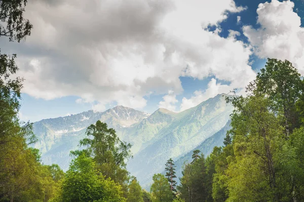 Peisaj Montan Frumos Pădure Cer Albastru Aer Liber — Fotografie, imagine de stoc