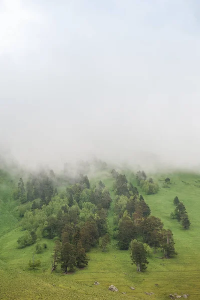 Bellissimo Paesaggio Con Valle Del Prato Nebbia Nuvole All Aperto — Foto Stock