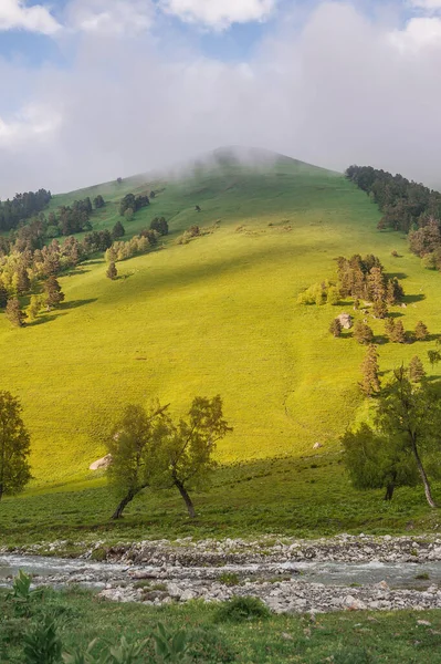 Hermoso Paisaje Con Valle Del Prado Nubes Azules Aire Libre — Foto de Stock