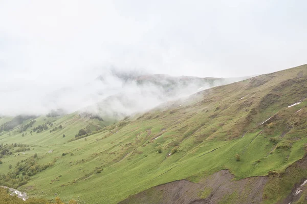 Çayır Vadisi Açık Bulutlar Güzel Manzara — Stok fotoğraf