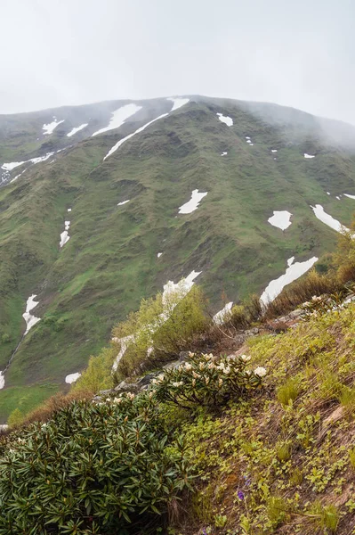 Bellissimo Paesaggio Con Valle Del Prato Nuvole All Aperto — Foto Stock