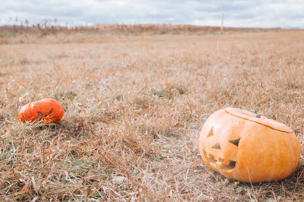 Halloween dynie na jesiennym polu — Zdjęcie stockowe