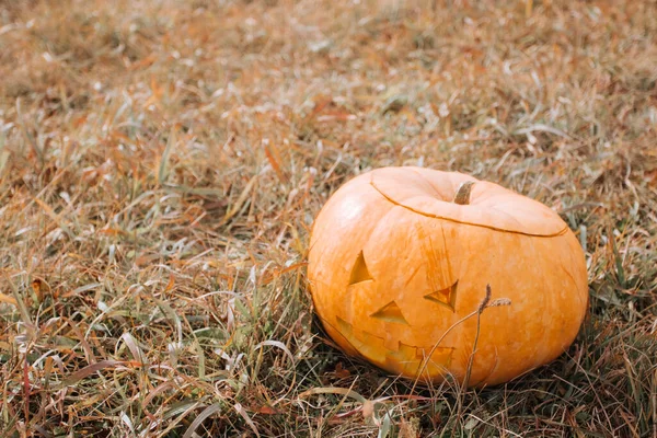 Wyrzeźbiona dynia halloween na polu — Zdjęcie stockowe