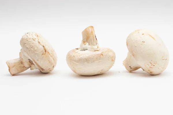 Frische Champignon Pilze Auf Weißem Hintergrund — Stockfoto
