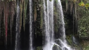 Sonbahar ormanında Kegon Şelalesi. Şelaleden su düşüyor, Türkiye