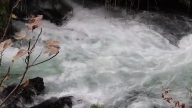 Dağ nehri. Şelaleden akan Nehir