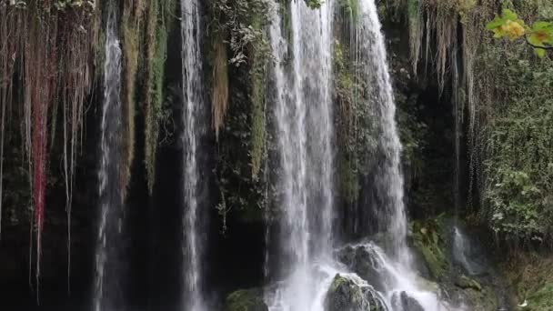 Kegon Waterfall in autumn forest. Water falling from waterfall, Turkey — Stock Video