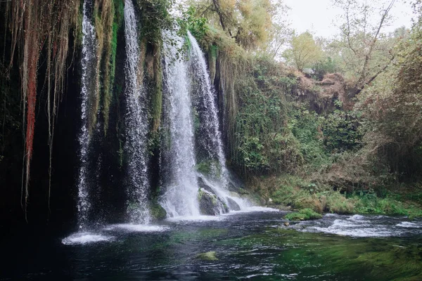 Schöner Wasserfall Mit Algen Und Felsen Mit Wald — Stockfoto