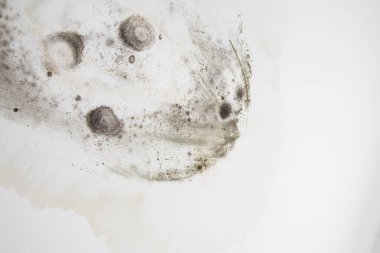 Beyaz tavanda bir sürü kalıp var.