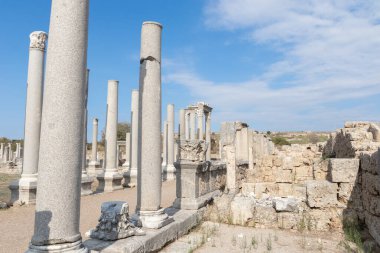 Ancient columns. Ancient city of Perge near Antalya