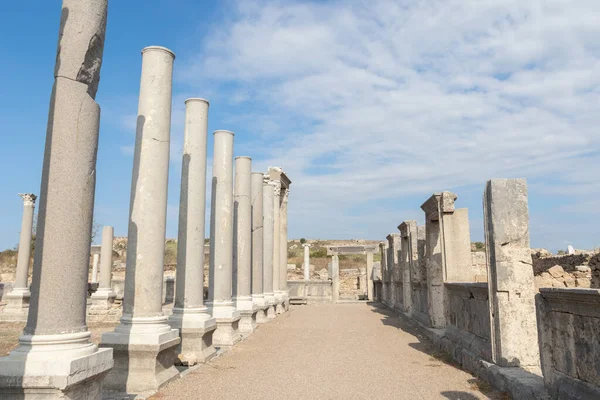 Ancient Columns Ancient City Perge Antalya — 스톡 사진