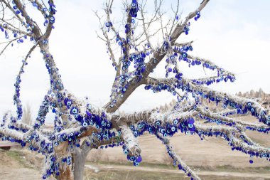 Türkiye 'de kutsal bir yerdeki ağaçtaki nazar tılsımlarından bir sürü var..