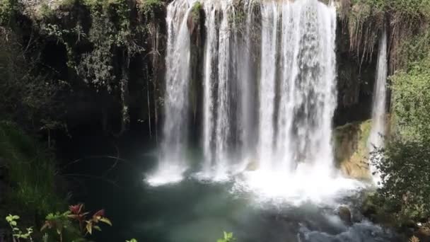 Big nature waterfall at wild forest with lake — Vídeos de Stock