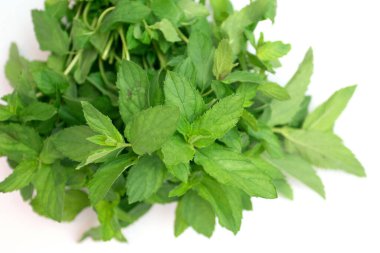 Beyaz arka plan üzerinde izole taze nane demet