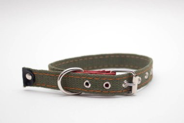 Beyaz arkaplanda naylon hayvan tasması izole edildi.