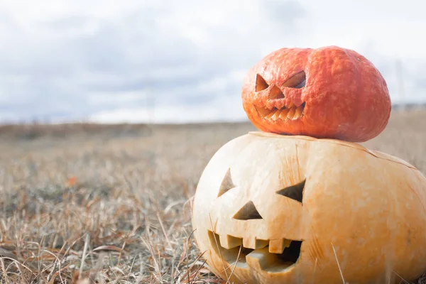 Carved Halloween Pumpkins Field — Zdjęcie stockowe