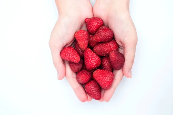 Woman Hands Holding Fresh Red Strawberries — ストック写真