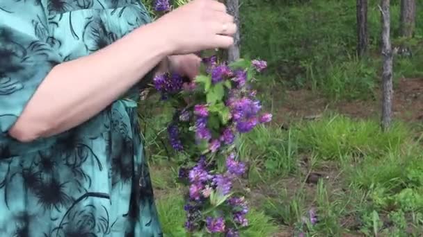 Koszorút Készít Lóherevirágokból Saját Kezével — Stock videók