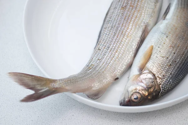 Свежая Сырая Серая Рыба Тарелке — стоковое фото