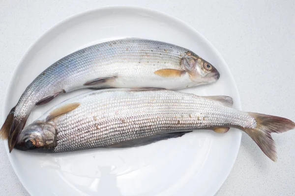 Frische Rohe Äschen Teller — Stockfoto