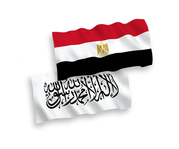 Drapeaux Ondes Tissu Vectoriel National Des Talibans Égypte Isolés Sur — Image vectorielle