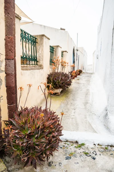 Starej ulicy w miejscowości Pyrgos kompleks na wyspie santorini, Grecja — Zdjęcie stockowe