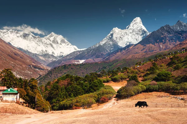 Blick Auf Everest Lhotse Und Ama Dablam Von Tengboche Nepal — Stockfoto