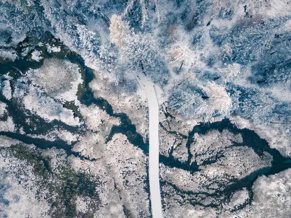 Kış karla kaplı orman ve köprülü nehir. Altai dağları, Sibirya, Rusya. Hava aracı görüntüsü. Güzel kış manzarası.