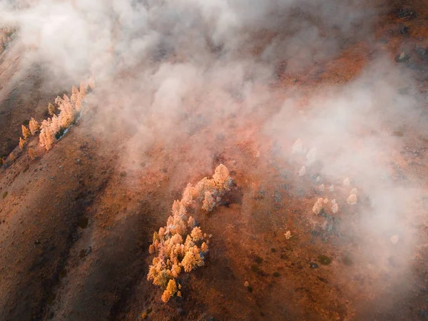 黄黄的秋树在山上 日出时有云彩 俄罗斯西伯利亚阿尔泰山区的秋季风景 美丽的秋天风景 — 图库照片