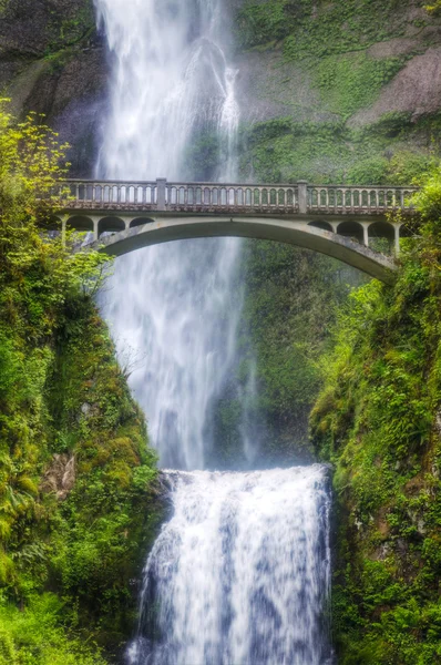 Multnomah cae y el puente en la luz del sol de la mañana —  Fotos de Stock