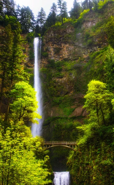 Multnomah falls and bridge in the morning sun light — Stock Photo, Image