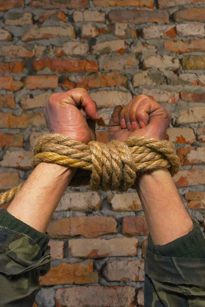 Three pairs of human hands tied up together — Stock Photo, Image