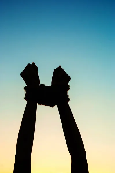 Hands tied up with rope — Stock Photo, Image