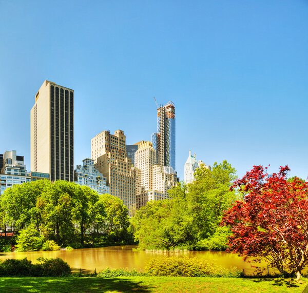New York City cityscape on a sunny day as seen from Central Park