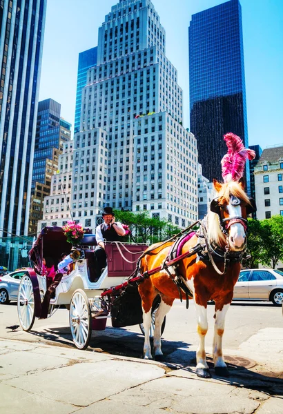 Hästskjuts på central park i new york city — Stockfoto