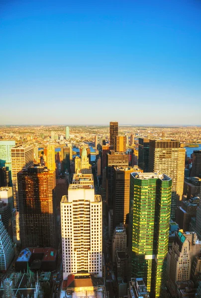 New York City cityscape with the Central Park — Stock Photo, Image