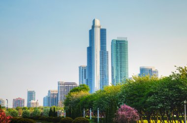 Downtown chicago, Il güneşli bir günde