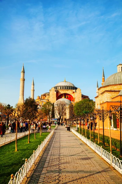 Hagia Sophia i Istanbul, Turkiet tidigt på morgonen — Stockfoto