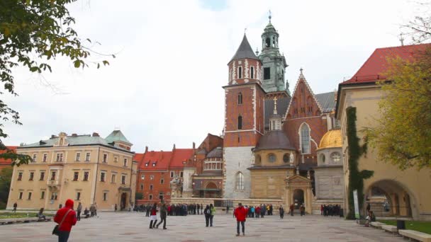 Wawel Katedrali — Stok video