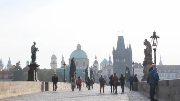 Charles bridge — Stock Video