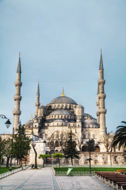 Sultan Ahmed Mosque (Blue Mosque) in Istanbul clipart