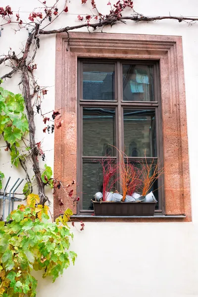 Une vieille fenêtre avec un pot de fleurs — Photo