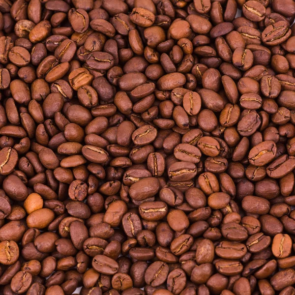 Coffee beans background — Stock Photo, Image