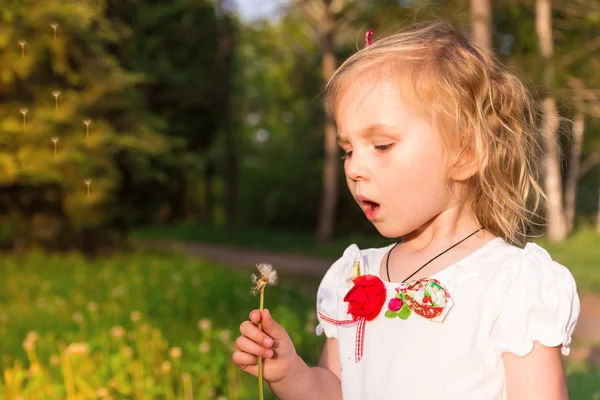 Vacker liten flicka med maskros — Stockfoto